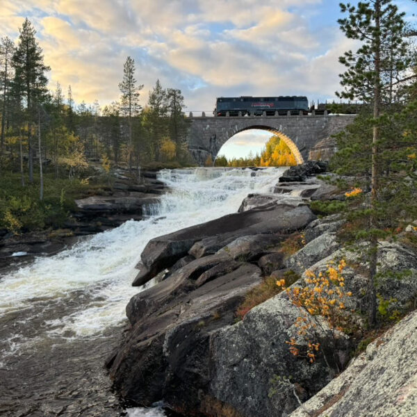 Entreprenadtransport Pakkojokk